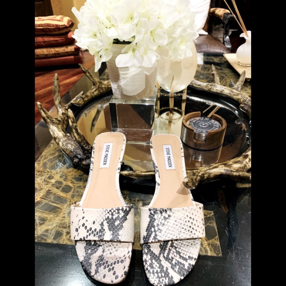 Steve Madden Snake-Print Slide Sandals in Black and Cream